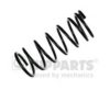 NIPPARTS N5550503 Coil Spring